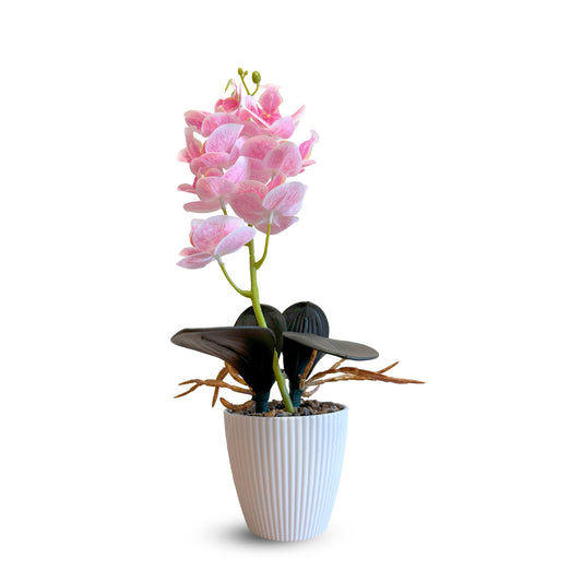 Artificial Orchid Plants in White Pots – 37 cm, Pack of 2 or 3, Assorted Colours - Pack of 2