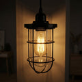 Industrial Cage Ceiling Light with Clear Glass Shade E27