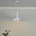 Morandi Pendant Light Adjustable for Kitchen Island