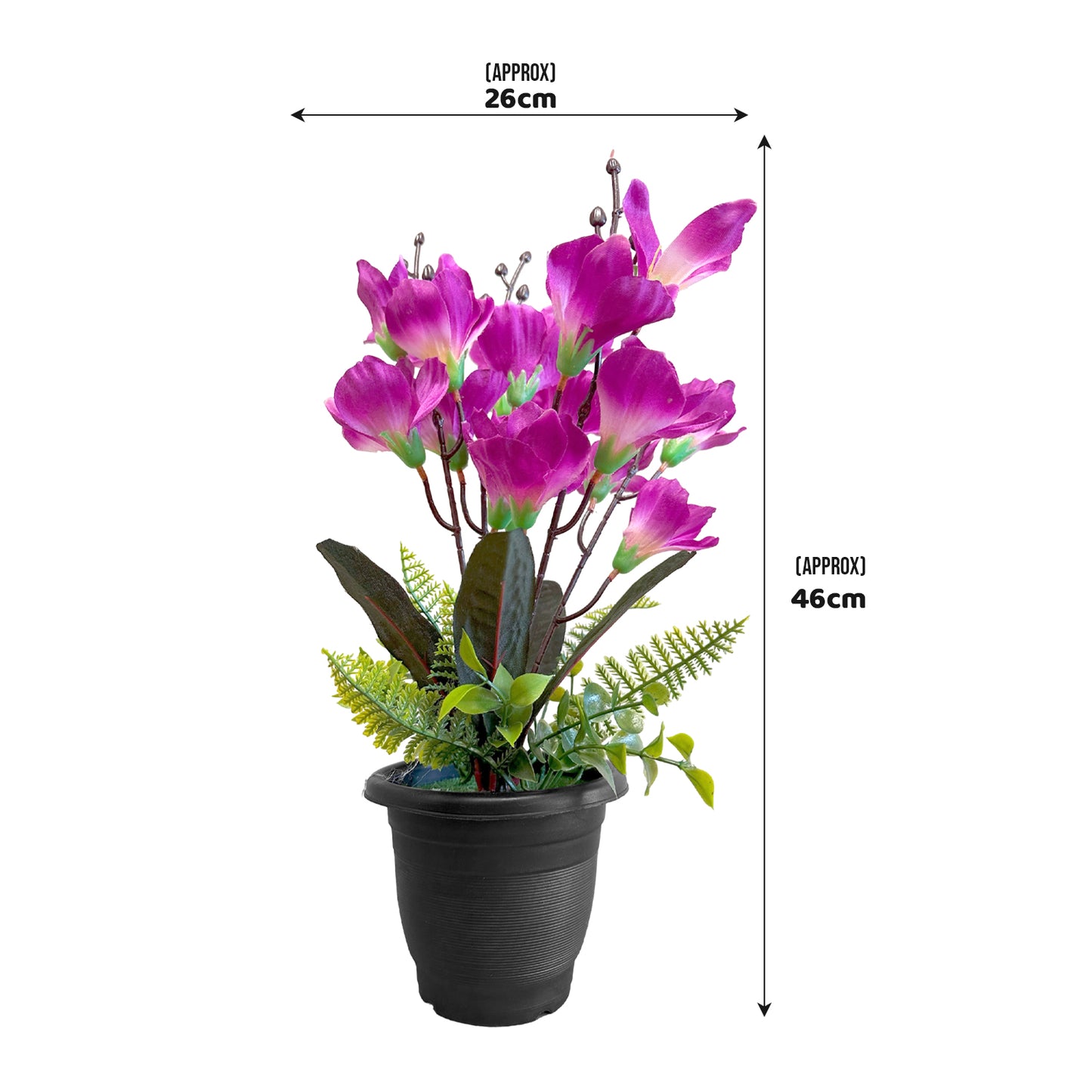 flowers with orchids | buy orchids uk