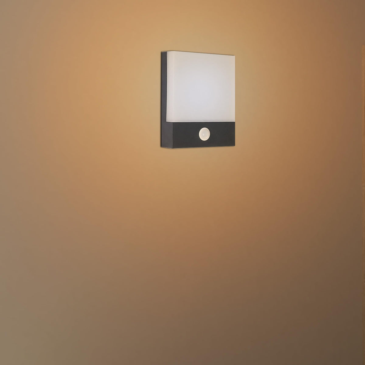 LED Wall Light with PIR Motion Sensor 12W IP54 – Black - photo 7