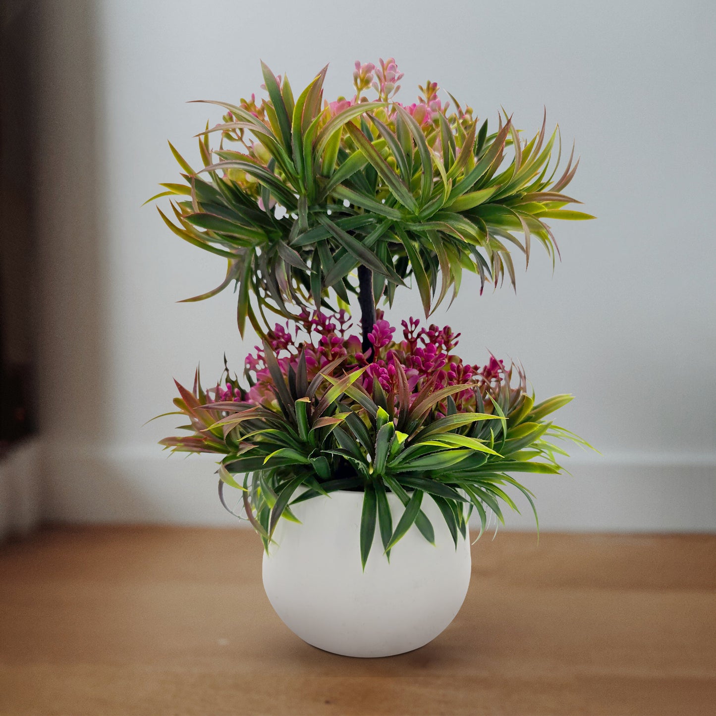 Bonsai Flower Plant