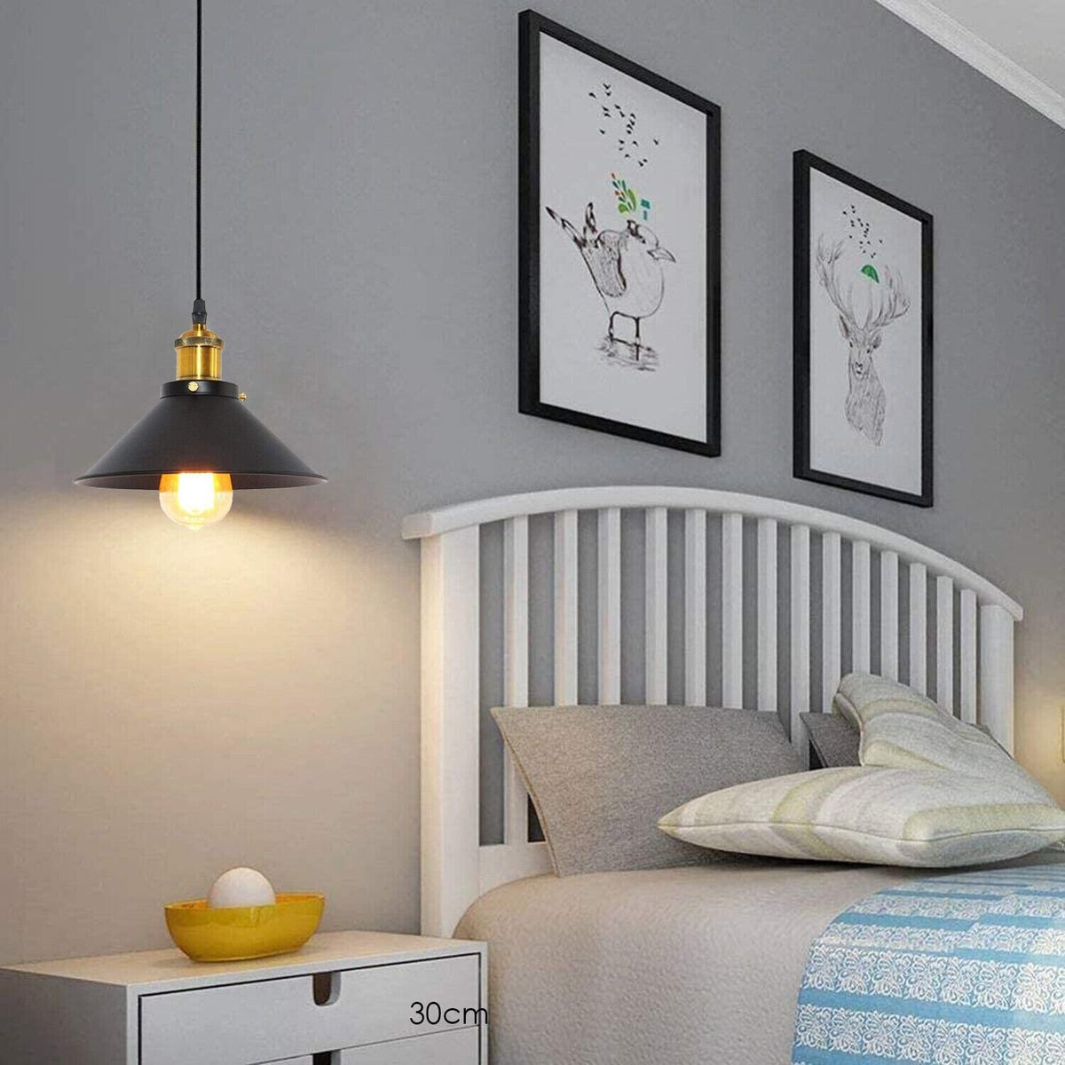 Plug-In Pendant Light – 4 m Black Flex, Switch, Barn, Cone or Cage - photo 3