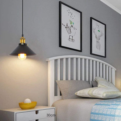 Plug-In Pendant Light – 4 m Black Flex, Switch, Barn, Cone or Cage - photo 3