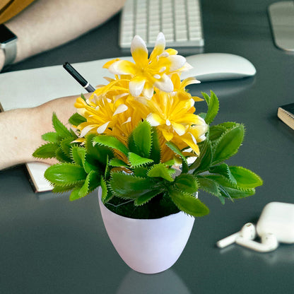 Artificial Flowers in White Pots – 20 cm, Pack of 2 or 3, Assorted Colours - photo 19