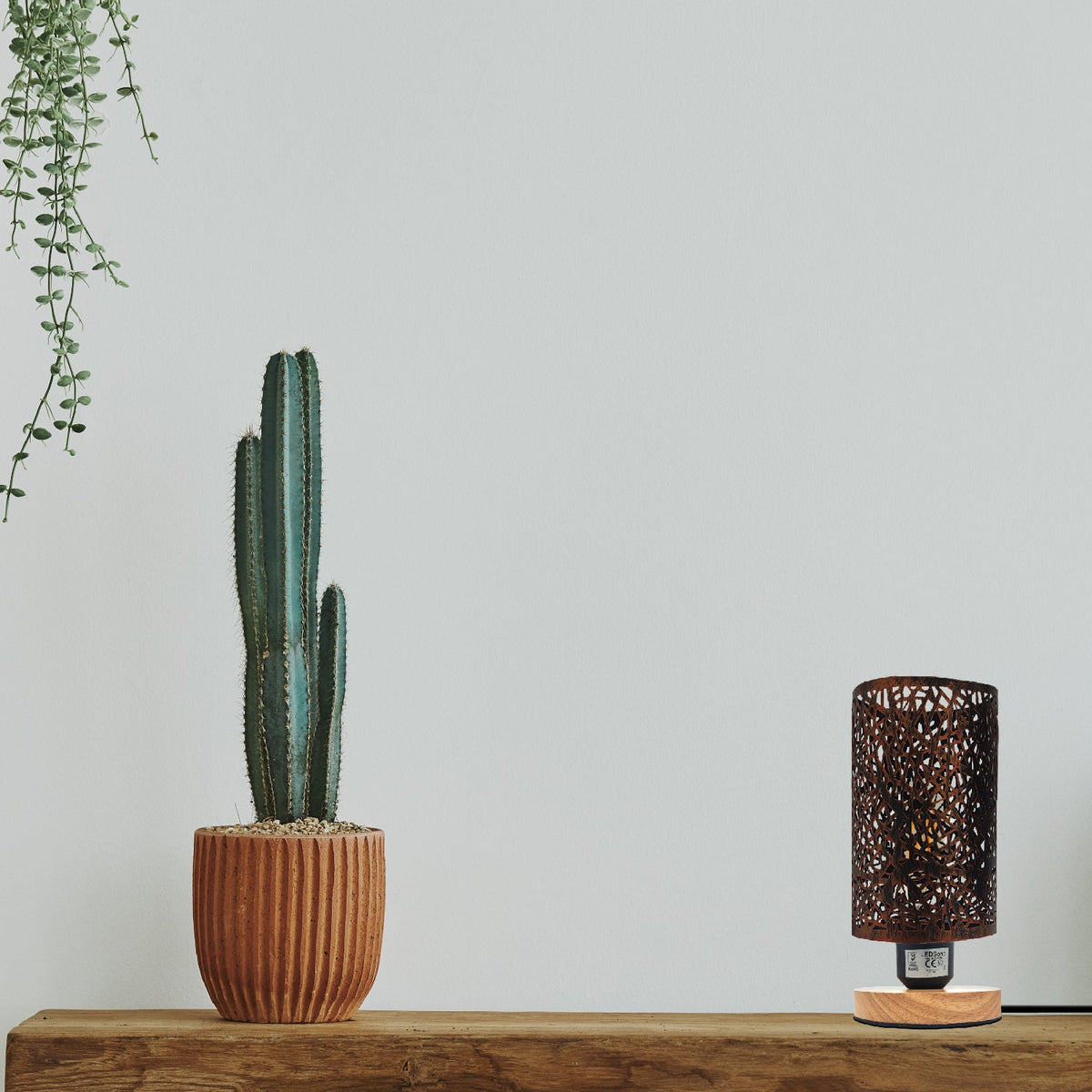 Retro Cage Table Lamp with Wooden Base and On/Off Switch