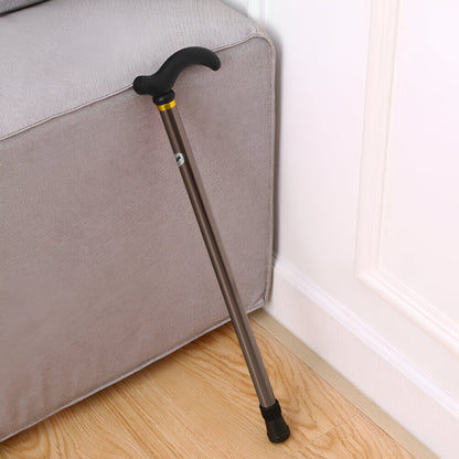 Metal Walking Stick