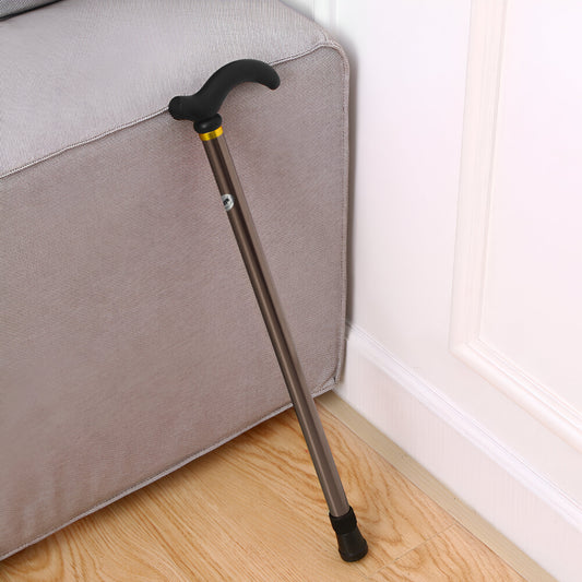 Metal Walking Stick