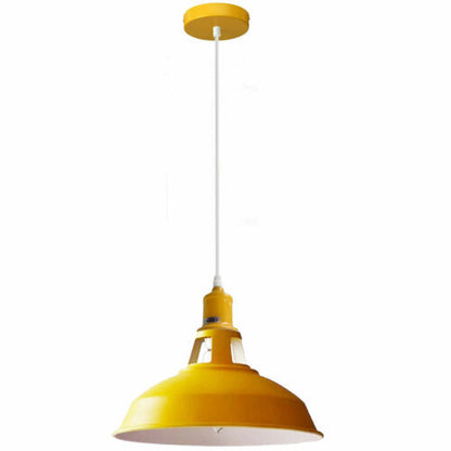 Coloured Pendant Light – Gloss Metal, Curvy or Barn Shades, 8 Colours - photo 36